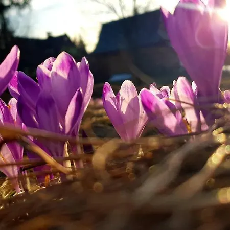 Sielanka, Basen Апартаменты *