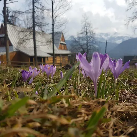 Sielanka, Basen Апартаменты