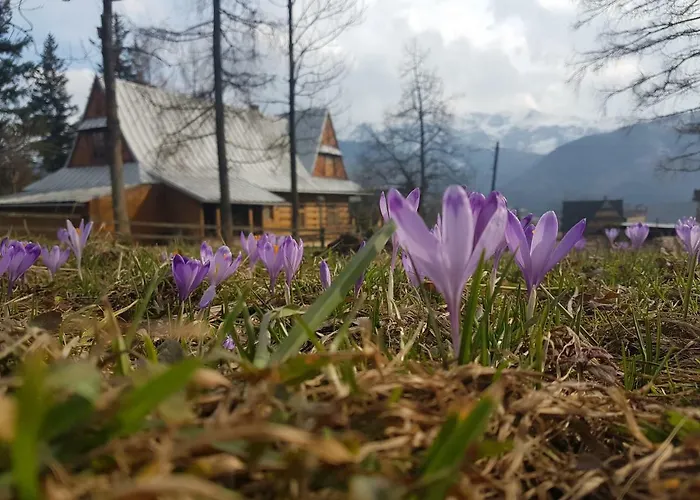 Sielanka, Basen شقة